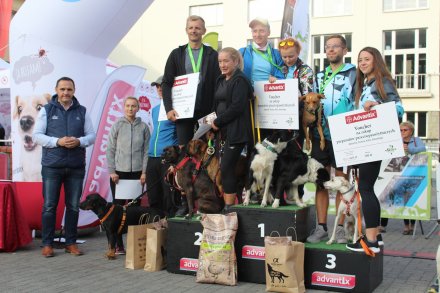 Fragment biegu Pucharu Polski w Dogtrekkingu w Wiśle